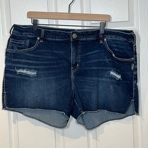 Silver Elyse Shorts Size 20 4" inseam